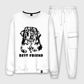 Мужской костюм хлопок с принтом BEST FRIEND (Z) в городе Новоалтайск, 100% хлопок | на свитшоте круглая горловина, мягкая резинка по низу. Брюки заужены к низу, на них два вида карманов: два “обычных” по бокам и два объемных, с клапанами, расположенные ниже линии бедра. Брюки с мягкой трикотажной резинкой на поясе и по низу штанин. В поясе для дополнительного комфорта — широкие завязки | best friend | dog | doggie | doggy | друг человека | другу | кинолог | лабрадор | мохнатый | пес | пёсель | пёсик | подарок | подруге | собака | собакен | собаки | собачка | собачнику