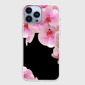 Чехол для iPhone 13 Pro Max с принтом Орхидеи в ночи в городе Новоалтайск,  |  | азия | бабочки | бутоны | ветки | девушкам | джунгли | женщинам | лепестки | летний | лето | листья | любовь | март | орхидеи | орхидея | подарок | природа | растения | розовыецветы | сад | тропика