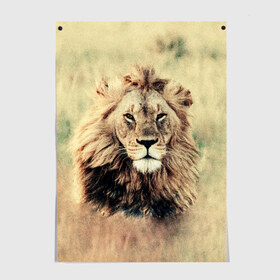 Постер с принтом Lion King в городе Новоалтайск, 100% бумага
 | бумага, плотность 150 мг. Матовая, но за счет высокого коэффициента гладкости имеет небольшой блеск и дает на свету блики, но в отличии от глянцевой бумаги не покрыта лаком | animals | king | lion | африка | взгляд | голова | грива | дикие | животные | зверек | зверь | зодиак | клыки | король | кот | кошак | кошка | лапы | лев | лео | львенок | оскал | природа | саванна | симба | созвездие