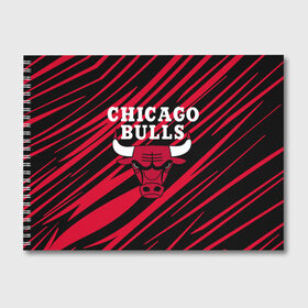Альбом для рисования с принтом Chicago Bulls в городе Новоалтайск, 100% бумага
 | матовая бумага, плотность 200 мг. | Тематика изображения на принте: 23 | air jordan | bulls | chicago bulls | jordan | michael jordan | nba | paris saint germain | psg | red | sport | быки | джордан | майкл джордан | псж | спорт | чикаго буллс