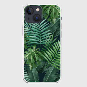 Чехол для iPhone 13 mini с принтом Тропики в городе Новоалтайск,  |  | Тематика изображения на принте: summer | банановая | банановые | джунгли | зелень | краски | летняя | лето | листики | листы | листья | надпись | настроение | отдых | отпуск | пальма | пальмовые | пальмы | папоротник | пляжная | позитив