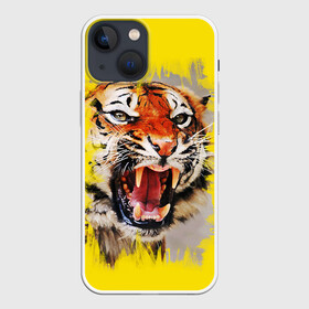 Чехол для iPhone 13 mini с принтом Оскал тигра в городе Новоалтайск,  |  | Тематика изображения на принте: барс | волк | детёныш | джунгли | енот | животное | зубр | кот | лев | леопард | львица | медведь | охотник | пасть | полосы | пятнистая | рык | рычание | тигр | тигрица | хозяин | царьзверей | шерсть