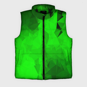 Мужской жилет утепленный 3D с принтом GREEN в городе Новоалтайск,  |  | abstract | abstraction | color | fractal | geometry | paitnt | polygon | polygonal | psy | абстракция | геометрия | краски | неоновые | полигоны | психоделика | фрактал