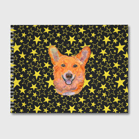 Альбом для рисования с принтом Corgi Stars в городе Новоалтайск, 100% бумага
 | матовая бумага, плотность 200 мг. | Тематика изображения на принте: corgi | dog | dogs | instagram | korgi | star | stars | telegram | tik tok | vk | звездочка | звездочки | звезды | корги | лапки | лапы | милая | пёс | песик | псы | сабака | сабачка | собака | собачка | собачки