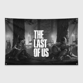 Флаг-баннер с принтом THE LAST OF US 2 в городе Новоалтайск, 100% полиэстер | размер 67 х 109 см, плотность ткани — 95 г/м2; по краям флага есть четыре люверса для крепления | cicadas | fireflies | naughty dog | the last of us | the last of us part 2 | tlou | tlou2 | джоэл | последние из нас | цикады | элли