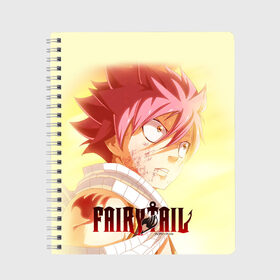 Тетрадь с принтом FAIRY TAIL ХВОСТ ФЕИ в городе Новоалтайск, 100% бумага | 48 листов, плотность листов — 60 г/м2, плотность картонной обложки — 250 г/м2. Листы скреплены сбоку удобной пружинной спиралью. Уголки страниц и обложки скругленные. Цвет линий — светло-серый
 | 