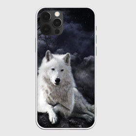 Чехол для iPhone 12 Pro Max с принтом БЕЛЫЙ ВОЛК(D) в городе Новоалтайск, Силикон |  | wolf | волк | волки | волчица | животные | одинокий волк
