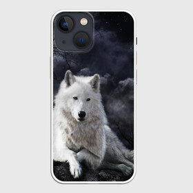 Чехол для iPhone 13 mini с принтом БЕЛЫЙ ВОЛК(D) в городе Новоалтайск,  |  | wolf | волк | волки | волчица | животные | одинокий волк