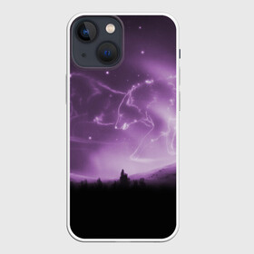 Чехол для iPhone 13 mini с принтом ВОЛКИ СОЗВЕЗДИЯ(D) в городе Новоалтайск,  |  | wolf | волк | волки | волчица | животные | одинокий волк