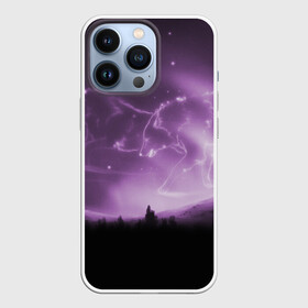 Чехол для iPhone 13 Pro с принтом ВОЛКИ СОЗВЕЗДИЯ(D) в городе Новоалтайск,  |  | Тематика изображения на принте: wolf | волк | волки | волчица | животные | одинокий волк