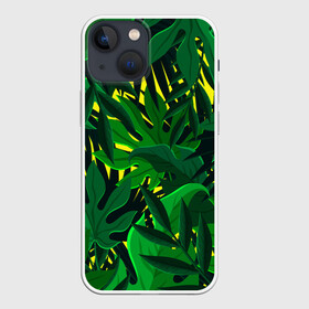 Чехол для iPhone 13 mini с принтом В джунглях в городе Новоалтайск,  |  | Тематика изображения на принте: nature | summer | азия | бали | бамбук | деревья | джунгли | жара | зелень | кусты | лес | летний | лето | листья | море | острова | отдых | отпуск | пальмы | папоротник | пляж | природа | растения | солнце
