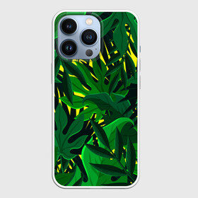 Чехол для iPhone 13 Pro с принтом В джунглях в городе Новоалтайск,  |  | Тематика изображения на принте: nature | summer | азия | бали | бамбук | деревья | джунгли | жара | зелень | кусты | лес | летний | лето | листья | море | острова | отдых | отпуск | пальмы | папоротник | пляж | природа | растения | солнце