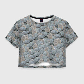 Женская футболка Crop-top 3D с принтом Каменные лица 3D МЕМ 2020 в городе Новоалтайск, 100% полиэстер | круглая горловина, длина футболки до линии талии, рукава с отворотами | my stone. | каменные лица | камни с человеческими лицами | мем