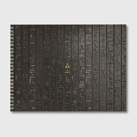 Альбом для рисования с принтом ASSASSIN`S CREEDORIGINS в городе Новоалтайск, 100% бумага
 | матовая бумага, плотность 200 мг. | black flag | brotherhood | chronicles | creed | game | origins | revelations | rogue | syndicate | unity | valhalla | альтаир | ассасин | игры | кинжал | пираты