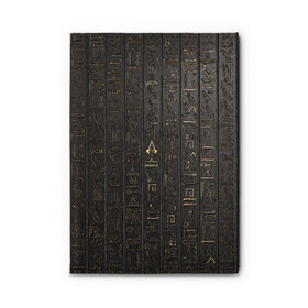 Обложка для автодокументов с принтом ASSASSIN`S CREED:ORIGINS в городе Новоалтайск, натуральная кожа |  размер 19,9*13 см; внутри 4 больших “конверта” для документов и один маленький отдел — туда идеально встанут права | Тематика изображения на принте: black flag | brotherhood | chronicles | creed | game | origins | revelations | rogue | syndicate | unity | valhalla | альтаир | ассасин | игры | кинжал | пираты
