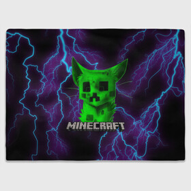 Плед 3D с принтом MINECRAFT CREEPER CAT  в городе Новоалтайск, 100% полиэстер | закругленные углы, все края обработаны. Ткань не мнется и не растягивается | creeper | game | minecraft | блоки | игра | квадраты | компьютерная | крипер | криппер | майнкрафт | огонь