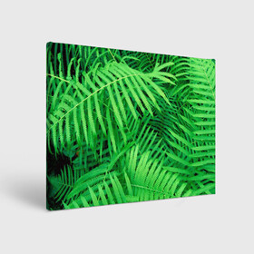 Холст прямоугольный с принтом SUMMER TEXTURE в городе Новоалтайск, 100% ПВХ |  | summer | tropic | жара | летний | лето | отдых | пальмы | природа | текстура | тропикано | тропики