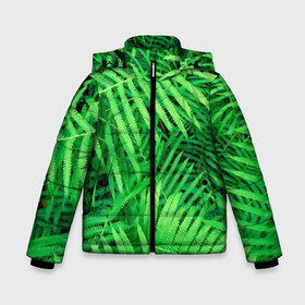 Зимняя куртка для мальчиков 3D SUMMER TEXTURE: в городе Новоалтайск, ткань верха — 100% полиэстер; подклад — 100% полиэстер, утеплитель — 100% полиэстер | длина ниже бедра, удлиненная спинка, воротник стойка и отстегивающийся капюшон. Есть боковые карманы с листочкой на кнопках, утяжки по низу изделия и внутренний карман на молнии.
Предусмотрены светоотражающий принт на спинке, радужный светоотражающий элемент на пуллере молнии и на резинке для утяжки | summer | tropic | жара | летний | лето | отдых | пальмы | природа | текстура | тропикано | тропики