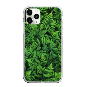 Чехол для iPhone 11 Pro Max матовый с принтом ПАПОРОТНИК в городе Новоалтайск, Силикон |  | summer | tropic | жара | летний | лето | отдых | пальмы | природа | текстура | тропикано | тропики