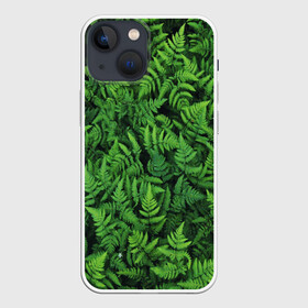 Чехол для iPhone 13 mini с принтом ПАПОРОТНИК в городе Новоалтайск,  |  | summer | tropic | жара | летний | лето | отдых | пальмы | природа | текстура | тропикано | тропики