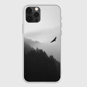 Чехол для iPhone 12 Pro Max с принтом ОРЁЛ НАД ЛЕСОМ в городе Новоалтайск, Силикон |  | bird | dark | fog | forest | heaven | jh k | ktc | sky | texture | деревья | животные | лес | небо | орел | природа | птица | птицы | текстуры | тёмный лес | туман