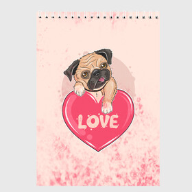 Скетчбук с принтом Love Pug (Z) в городе Новоалтайск, 100% бумага
 | 48 листов, плотность листов — 100 г/м2, плотность картонной обложки — 250 г/м2. Листы скреплены сверху удобной пружинной спиралью | dog | doggie | doggy | mops | pug | декоративная собака | друг человека | другу | кинолог | лабрадор | малые молоссоиды | мопс | мопсик | мохнатый | пес | пёсель | пёсик | подарок | подруге | собака | собакен | собаки