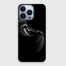 Чехол для iPhone 13 Pro с принтом Черный кот в городе Новоалтайск,  |  | Тематика изображения на принте: black | cat | eyes | kitten | kitty | pussy | pussycat | взгляд | глаз | глаза | кот | кота | котенок | коты | котят | котята | котячьи | кошачьи | кошка | кошки | мордочка | нос | носик | с котом | усатый | усики | усища | усищи | че