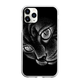 Чехол для iPhone 11 Pro Max матовый Волшебный кот: в городе Новоалтайск, Силикон | | black | cat | eyes | kitten | kitty | pussy | pussycat | взгляд | глаз | глаза | кот | кота | котенок | коты | котят | котята | котячьи | кошачьи | кошка | кошки | мордочка | нос | носик | с котом | усатый | усики | усища | усищи | че
