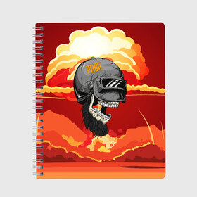 Тетрадь с принтом PUBG Skull в городе Новоалтайск, 100% бумага | 48 листов, плотность листов — 60 г/м2, плотность картонной обложки — 250 г/м2. Листы скреплены сбоку удобной пружинной спиралью. Уголки страниц и обложки скругленные. Цвет линий — светло-серый
 | action | battle | battleground | battlegrounds | chicken dinner | game | games | mmo | player | pubg | royal | royale | skull | spetcnaz | spetsnaz | steam | unknown | батл | баттл | в шлеме | игра | онлайн | роял | рояле | спецназ | спецназа | 