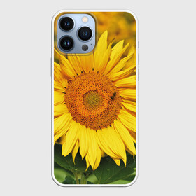 Чехол для iPhone 13 Pro Max с принтом Подсолнух в городе Новоалтайск,  |  | Тематика изображения на принте: подсолнух | подсолнухи | природа | растение | растения | флора | фотография | цвет | цветами | цветов | цветок | цветочек | цветочки | цветочные | цветочный | цветы