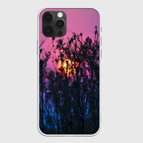 Чехол для iPhone 12 Pro Max с принтом Трава растения закатный свет в городе Новоалтайск, Силикон |  | Тематика изображения на принте: вечер | закат | мило | небо | поле | рассвет | растения | свет | сумерки | сухоцвет