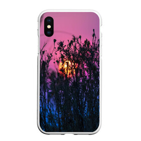 Чехол для iPhone XS Max матовый с принтом Трава растения закатный свет в городе Новоалтайск, Силикон | Область печати: задняя сторона чехла, без боковых панелей | вечер | закат | мило | небо | поле | рассвет | растения | свет | сумерки | сухоцвет