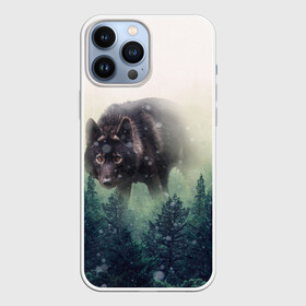 Чехол для iPhone 13 Pro Max с принтом Волк в городе Новоалтайск,  |  | альфа | амега | волк | волчонок | дым | зверь | зелёная | зима | красивая | лайка | лес | лесс | омега | пёс | подарок | прикольная | сибирь | сказка | собака | сосны | тайга | фильм | хаски | щенок