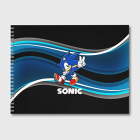 Альбом для рисования с принтом SONIC в городе Новоалтайск, 100% бумага
 | матовая бумага, плотность 200 мг. | Тематика изображения на принте: hedgehog | metal sonic | silver | silver the hedgehog | sonic | sonic boom | sonic the hedgehog | ёж сонник | игры | соник | фильмы
