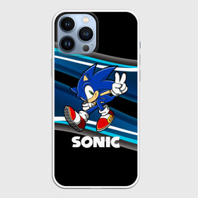 Чехол для iPhone 13 Pro Max с принтом SONIC в городе Новоалтайск,  |  | Тематика изображения на принте: hedgehog | metal sonic | silver | silver the hedgehog | sonic | sonic boom | sonic the hedgehog | ёж сонник | игры | соник | фильмы