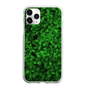 Чехол для iPhone 11 Pro Max матовый с принтом Свежая трава в городе Новоалтайск, Силикон |  | Тематика изображения на принте: арт | зелёный | светлый | тёмный | четкий