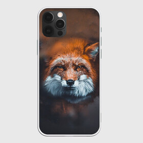 Чехол для iPhone 12 Pro Max с принтом Лиса в городе Новоалтайск, Силикон |  | Тематика изображения на принте: волк | енот | енотик | зверь | зоопарк | колобок | лес | лис | лиса | лисёнок | лисица | лисы | мультик | пёс | писец | сибирь | сказка | собака | тайга