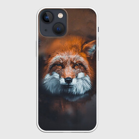 Чехол для iPhone 13 mini с принтом Лиса в городе Новоалтайск,  |  | волк | енот | енотик | зверь | зоопарк | колобок | лес | лис | лиса | лисёнок | лисица | лисы | мультик | пёс | писец | сибирь | сказка | собака | тайга