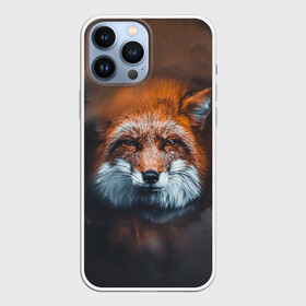 Чехол для iPhone 13 Pro Max с принтом Лиса в городе Новоалтайск,  |  | Тематика изображения на принте: волк | енот | енотик | зверь | зоопарк | колобок | лес | лис | лиса | лисёнок | лисица | лисы | мультик | пёс | писец | сибирь | сказка | собака | тайга