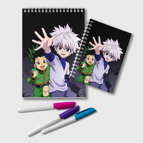 Блокнот с принтом Hunter x Hunter в городе Новоалтайск, 100% бумага | 48 листов, плотность листов — 60 г/м2, плотность картонной обложки — 250 г/м2. Листы скреплены удобной пружинной спиралью. Цвет линий — светло-серый
 | Тематика изображения на принте: anime | hunter x hunter | аниме | гон фрикс | манга | охотник х охотник | хантер хантер | хантеры