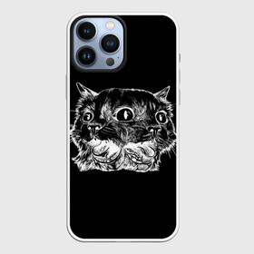 Чехол для iPhone 13 Pro Max с принтом Чокнутый кот в городе Новоалтайск,  |  | Тематика изображения на принте: cat | белый | звери | кот | кошка | черный