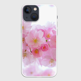 Чехол для iPhone 13 mini Сакура: в городе Новоалтайск, | | красивые | лето | летоахлето | летовернись | летожара | летонеуходи | летоцветы | леточко | любовь | много | много цветов | насекомые | радость | сакура | цветы