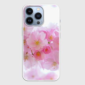 Чехол для iPhone 13 Pro с принтом Сакура в городе Новоалтайск,  |  | красивые | лето | летоахлето | летовернись | летожара | летонеуходи | летоцветы | леточко | любовь | много | много цветов | насекомые | радость | сакура | цветы