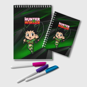Блокнот с принтом Гон Фрикс Hunter x Hunter в городе Новоалтайск, 100% бумага | 48 листов, плотность листов — 60 г/м2, плотность картонной обложки — 250 г/м2. Листы скреплены удобной пружинной спиралью. Цвет линий — светло-серый
 | 