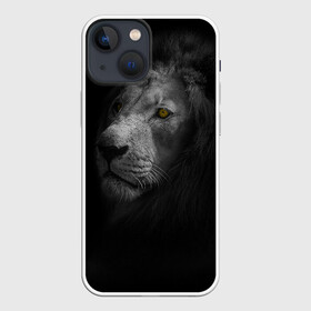 Чехол для iPhone 13 mini с принтом Лев в городе Новоалтайск,  |  | гороскоп | животное | животные | звери | зверь | знак зодиака | зодиак | киска | киски | кот | котик | котики | коты | кошка | лев | лёва | львы | фауна | хищник | хищники