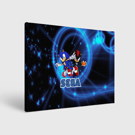 Холст прямоугольный с принтом Sonic SEGA в городе Новоалтайск, 100% ПВХ |  | hedgehog | metal sonic | silver | silver the hedgehog | sonic | sonic boom | sonic the hedgehog | ёж сонник | игры | соник | фильмы