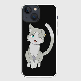 Чехол для iPhone 13 mini с принтом Re:Zero в городе Новоалтайск,  |  | anime | cat | cats | glitch | japan | ram | re | rem | rezero | senpai | subaru | waifu | zero | анимация | аниме | вайфу | глитч | глич | кот | кошка | мультсериал | мультфильм | семпай | сенпай | сериал | япония