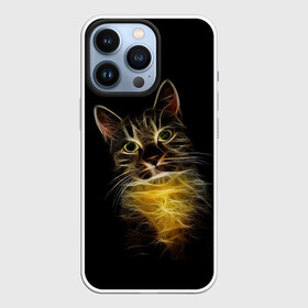 Чехол для iPhone 13 Pro с принтом Дымчато световой кот в городе Новоалтайск,  |  | Тематика изображения на принте: арт | дым | желтый | кот | кошка | кривые | рисунок | свет | серый | тёмный | чёрный | яркие линии
