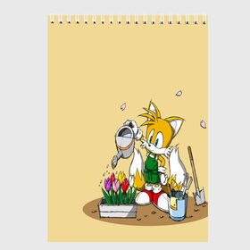 Скетчбук с принтом Sonic в городе Новоалтайск, 100% бумага
 | 48 листов, плотность листов — 100 г/м2, плотность картонной обложки — 250 г/м2. Листы скреплены сверху удобной пружинной спиралью | Тематика изображения на принте: game | sonic | sonic the hedgehog | видеоигра | доктор эггман | ёж | ёж соник | игра | сега | синий антропоморфный ёж | соник | соник в кино