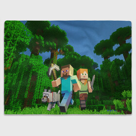 Плед 3D с принтом minecraft в городе Новоалтайск, 100% полиэстер | закругленные углы, все края обработаны. Ткань не мнется и не растягивается | minecraft | в майн | в майнкрафт | видео майнкрафт | игры | компот | компот в майнкрафт | майн | майнкрафт | майнкрафт но | нуб | нуб и про | нубик | троллинг | троллинг ловушка